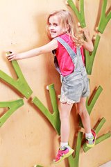 Детский скалодром «Невероятные веточки на каркасе» Kidigo (SDS04)