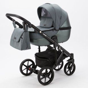 Коляска 2 в 1 Adamex Bibione PS-57 Lux зеленый PS5700000 фото