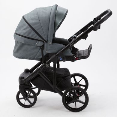 Коляска 2 в 1 Adamex Bibione PS-57 Lux зеленый PS5700000 фото