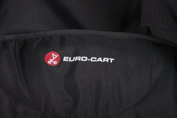 Коляска Euro-Cart Ezzo anthracite 5167 фото