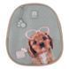 Рюкзак полукаркасный Kite Education Studio Pets SP22-700M(2p) SP22-700M(2p) фото 17