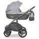 Детская универсальная коляска 2 в 1 Riko Vario 01 Grey Fox R-Va 01 фото 1