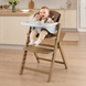 Стільчик-трансформер 3 в 1 Carrello Focus CRL-16801 Sahara Beige 168012 фото
