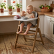 Стільчик-трансформер 3 в 1 Carrello Focus CRL-16801 Whisper Grey 168015 фото