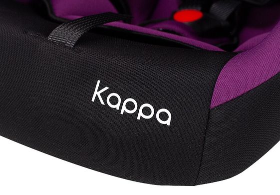 Автокресло Bair Kappa 0+ (0-13 кг) DK 1824 черный - фиолетовый 624868 фото