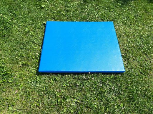 Мат ізолон Sport розмір 0,5 х 1,0 (м) YDAgroup (Синій) 450_C18 фото