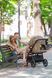 Прогулочная коляска CARRELLO Bravo SL Deluxe CRL-5520 Velvet Beige 55201 фото 75