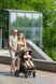 Прогулочная коляска CARRELLO Bravo SL Deluxe CRL-5520 Velvet Beige 55201 фото 29