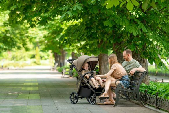 Прогулочная коляска CARRELLO Bravo SL Deluxe CRL-5520 Velvet Beige 55201 фото