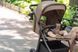 Прогулочная коляска CARRELLO Bravo SL Deluxe CRL-5520 Velvet Beige 55201 фото 44
