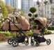 Коляска 2 в 1 CARRELLO Alfa CRL-6522 Honey Beige Alfa CRL-6522-4 фото