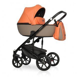 Коляска 2 в 1 Riko Ozon Ecco 24 R-Ozon Ecco 24 фото