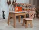 Комплект меблів дитині на 2-7 років стіл + стілець з шухлядою для малювання занять та їжі Colors Y1