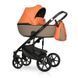 Коляска 2 в 1 Riko Ozon Ecco 24 R-Ozon Ecco 24 фото
