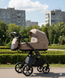Коляска 2 в 1 CARRELLO Omega CRL-6540/1 Asteroid Beige 1046759 фото