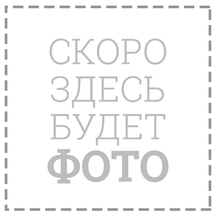 Коляска для двойни Junama Geographic Duo JGE-DUO фото