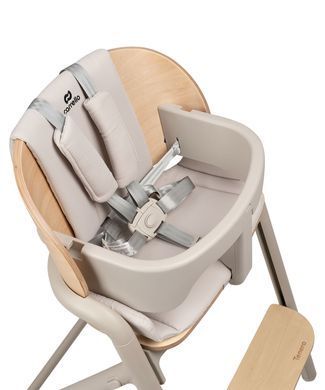 Стульчик-трансформер 4 в 1 CARRELLO Tenero CRL-9507 Olympus Beige Wooden 950701 фото