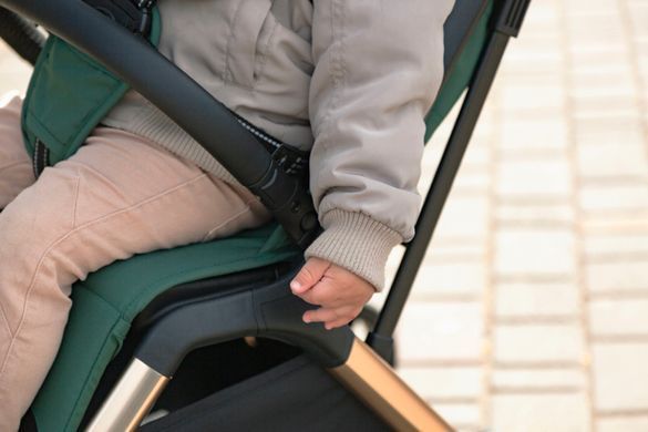 Прогулянковий візок Carrello Cross CRL-5523 Parrot Green CRL-5523-4 фото