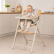 Стульчик-трансформер 4 в 1 CARRELLO Tenero CRL-9507 Olympus Beige Wooden 950701 фото 1