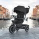 Триколісний велосипед з батьківською ручкою EL Camino ME 1193 MODENA Black ME 1193 Black фото