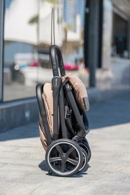 Прогулянковий візок Carrello Corsa CRL-5518 від 6-міс великі колеса 2024 Wild Pink 105215 фото