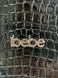 Коляска iBebe i-stop Unique 2 в 1 Gloss black ib-is-26 фото 7