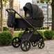 Детская коляска 2 в 1 Carrello Ultimo F CRL-6701 Sable Black 67015 фото