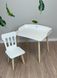 Детский набор мебели DecOKids Color: столик с бортиками и стульчик для детей от 2 лет, Natural White