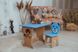 Стол-парта и стульчик ребенку 3-8лет для рисования и учебы Colors Мишка