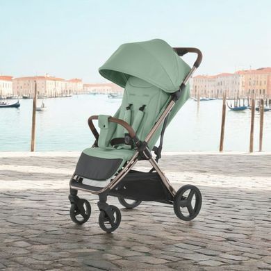Прогулочная коляска EL Camino ME 1192 AXIS Sage Green ME 1192 Sage Green фото