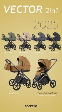 Коляска 2 в 1 CARRELLO Vector CRL-6552 Angora Beige 65523 фото