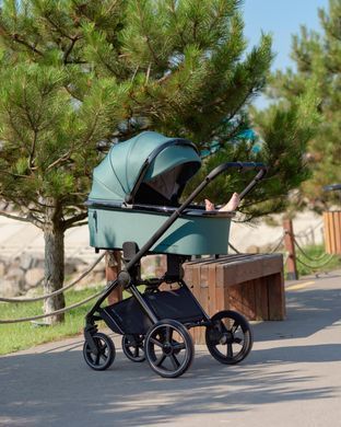 Коляска 2 в 1 Carrello Ultimo CRL-6511 NF Black Chrome Fern Green SCRL-6511 фото