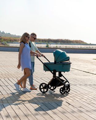 Коляска 2 в 1 Carrello Ultimo CRL-6511 NF Black Chrome Fern Green SCRL-6511 фото