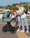 Коляска 2 в 1 Carrello Ultimo CRL-6511 NF Black Chrome Fern Green SCRL-6511 фото 20