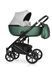 Коляска 2 в 1 Riko Ozon Shine 05 R-Ozon Shine 05 фото