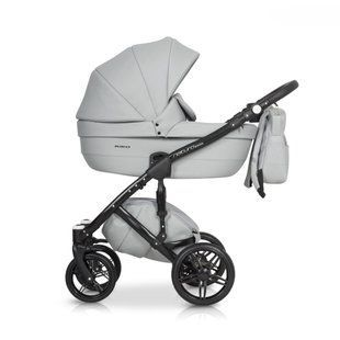 Коляска 2 в 1 Riko Naturo Ecco 05 Stone R-Ne 05 фото