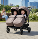 Прогулочная коляска для двойни и погодок Euro-Cart Doblo 2026 до 22 кг (ширина 74 см) Taupe 20136 фото