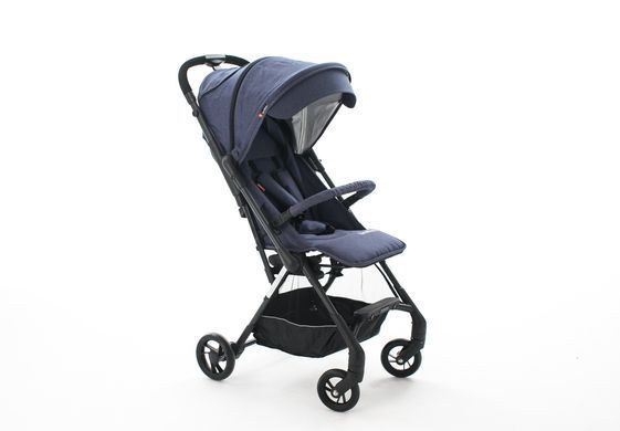 BeneBaby D300 Blue D300  фото