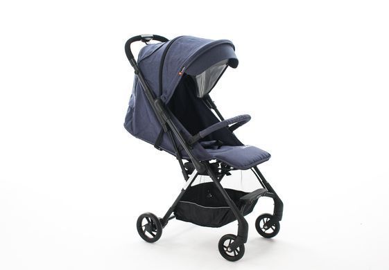 BeneBaby D300 Blue D300  фото