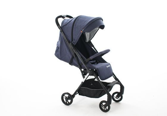 BeneBaby D300 Blue D300  фото