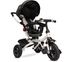 Детский трехколесный велосипед Caretero (Toyz) Wroom Black 150450 фото 3