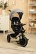 Велосипед 3-х колесный с 1 года и родительской ручкой Caretero Dash Gray 398334 фото