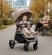 Коляска CARRELLO Bravo CRL-8512PU 2026 Deep Beige 8512-7 фото