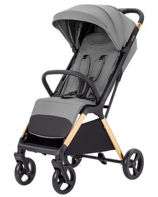 Коляска прогулочная Carrello Cross CRL-5523 Owl Grey CRL-5523 Owl Grey фото