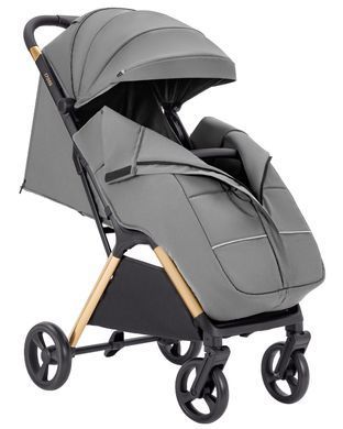 Коляска прогулочная Carrello Cross CRL-5523 Owl Grey CRL-5523 Owl Grey фото