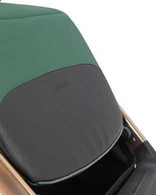 Прогулянковий візок Carrello Cross CRL-5523 Parrot Green CRL-5523-4 фото