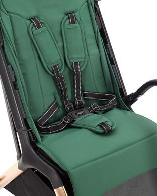 Прогулянковий візок Carrello Cross CRL-5523 Parrot Green CRL-5523-4 фото