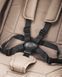 Прогулочная коляска CARRELLO Bravo Carbon CRL-5530 Frost Beige CRL-5530 Frost Beige фото 10