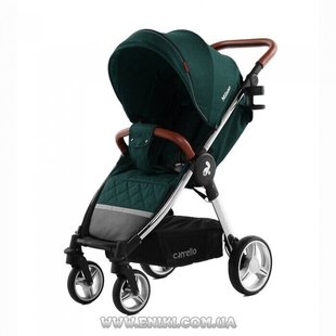 Коляска прогулочная CARRELLO Milano CRL-5501 Aqua Green 85656 фото