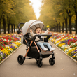 Прогулянковий дитячий візок Ninos Maxi 2025 з перекидною ручкою всесезонний Light Grey Gold